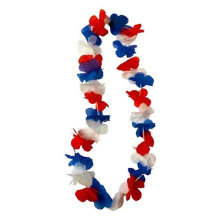 Accesorios y Cotillón Patrio