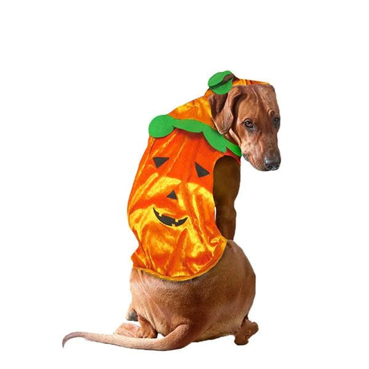 Disfraz Para Mascota Calabaza