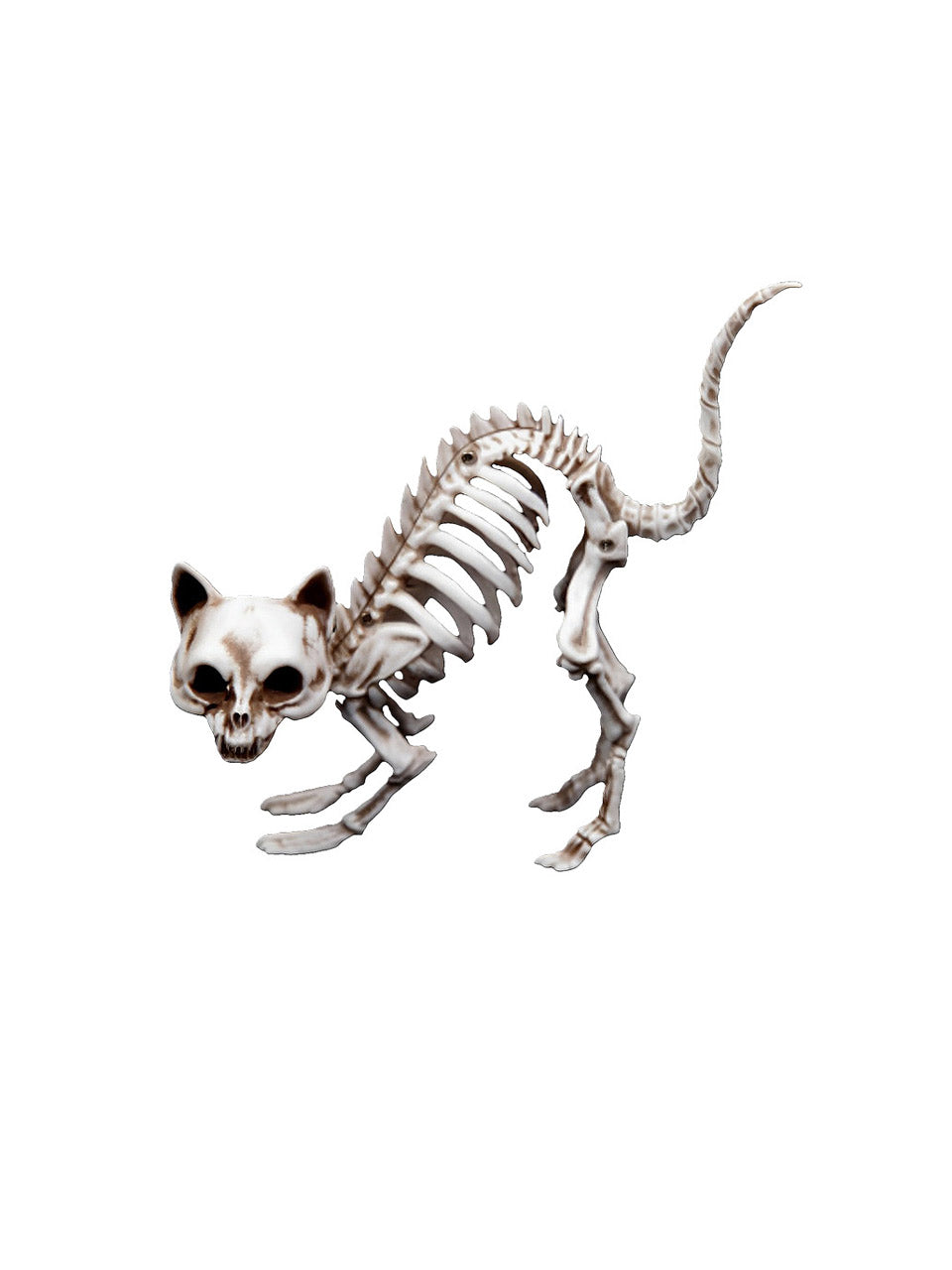 Esqueleto Gato 19Cm X1Uni - Don Cotillon