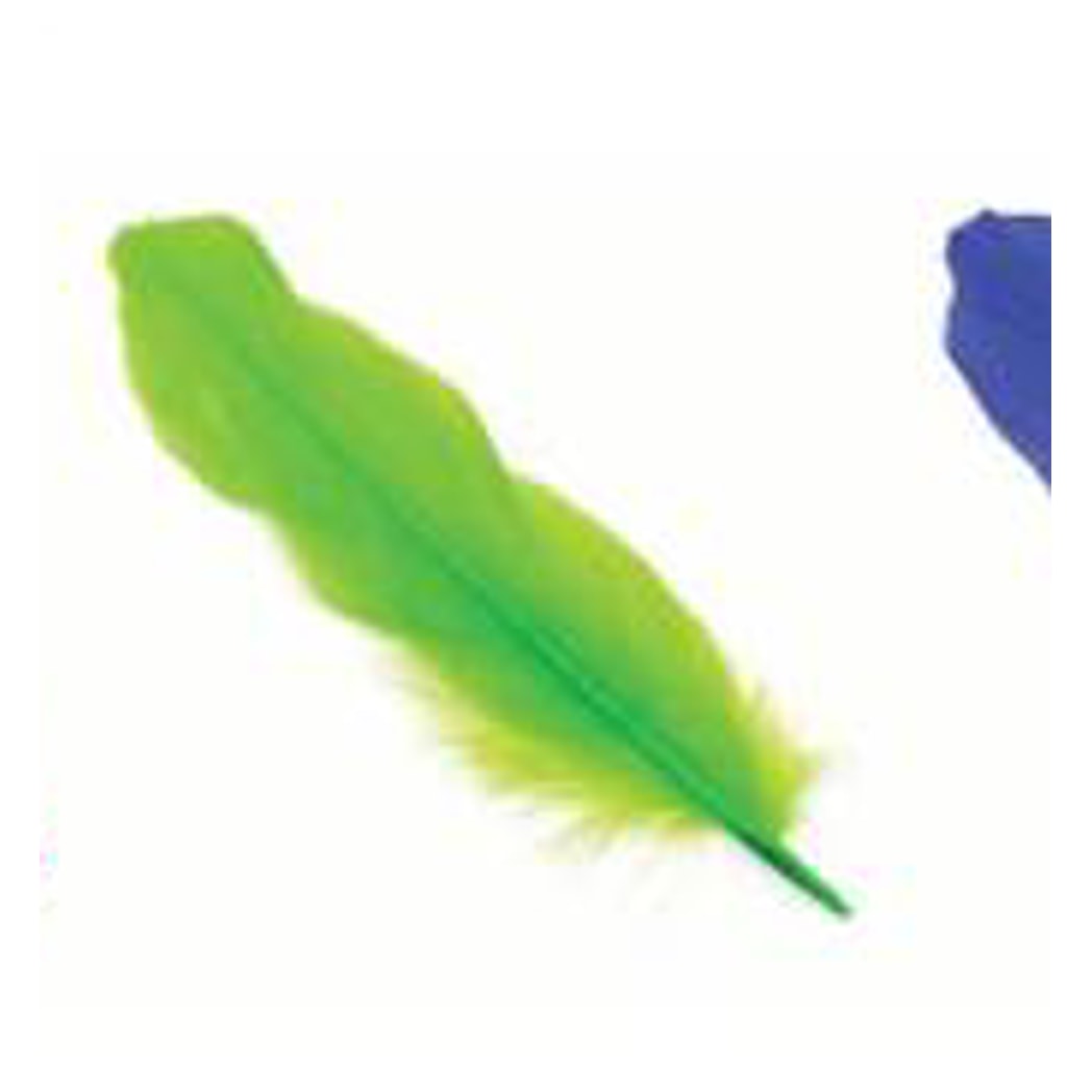 Pluma 17Cm Verde X12Uni
