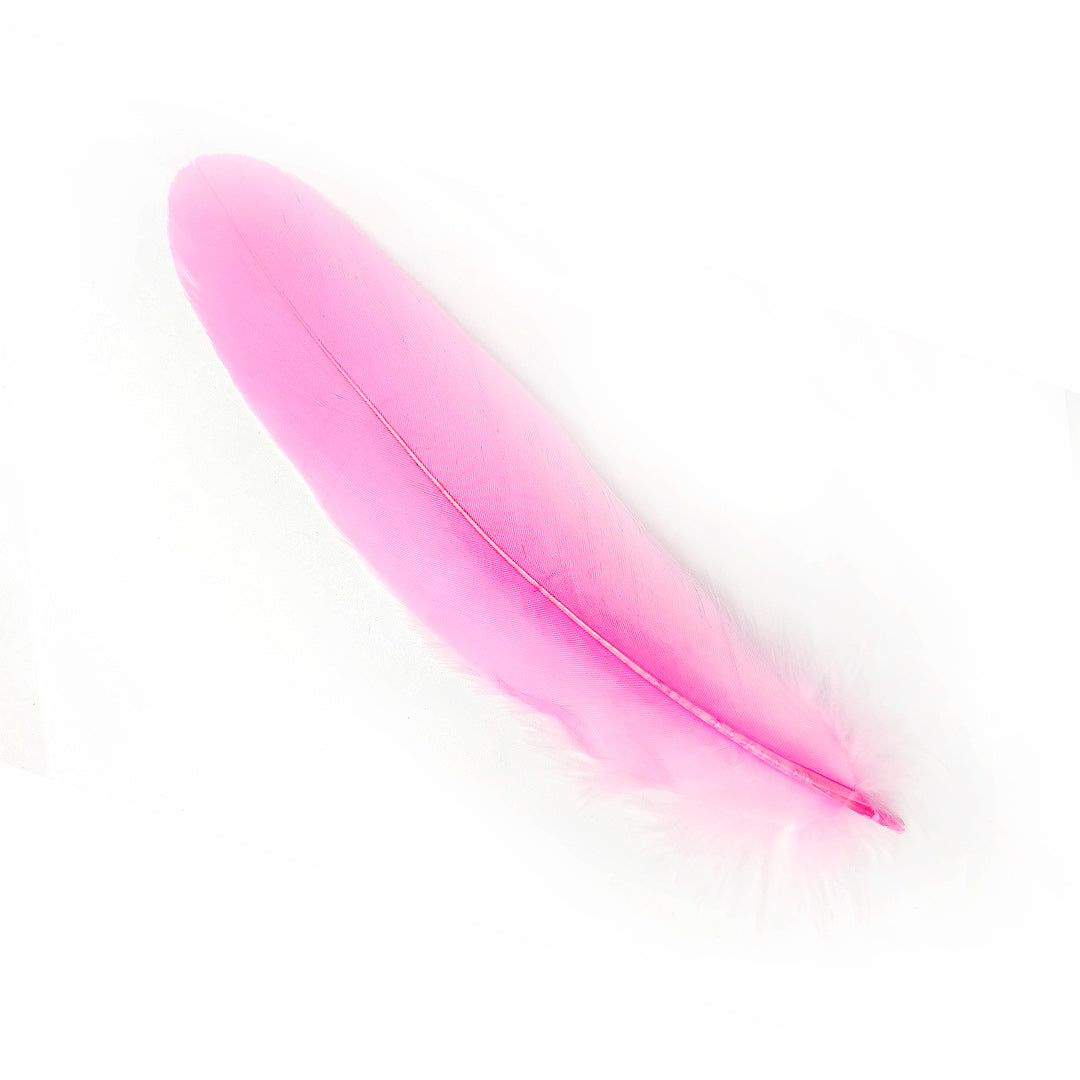 Pluma 17 cm rosada, paquete de 12 unidades