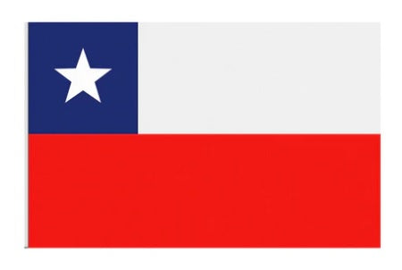 Bandera Chilena 60x90