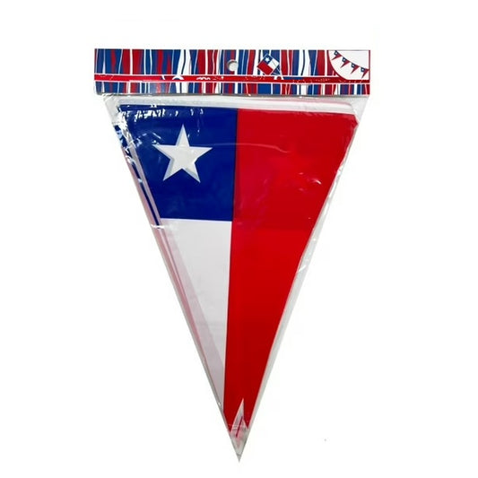 BANDERÍN PLÁSTICO 22×29 CM 3,6 METROS