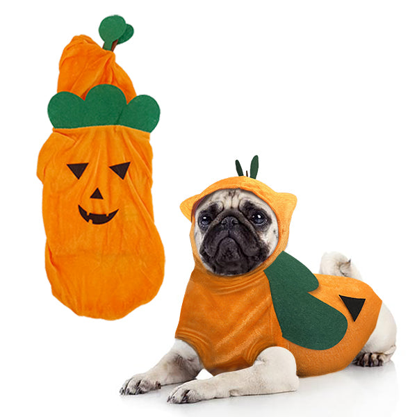 Disfraz Perro Calabaza
