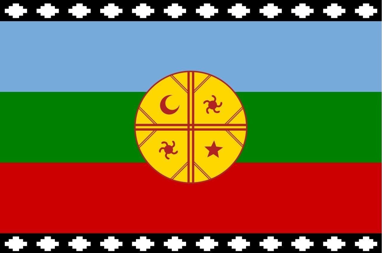BANDERA MAPUCHE 60X90