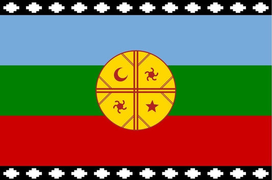 BANDERA MAPUCHE 60X90