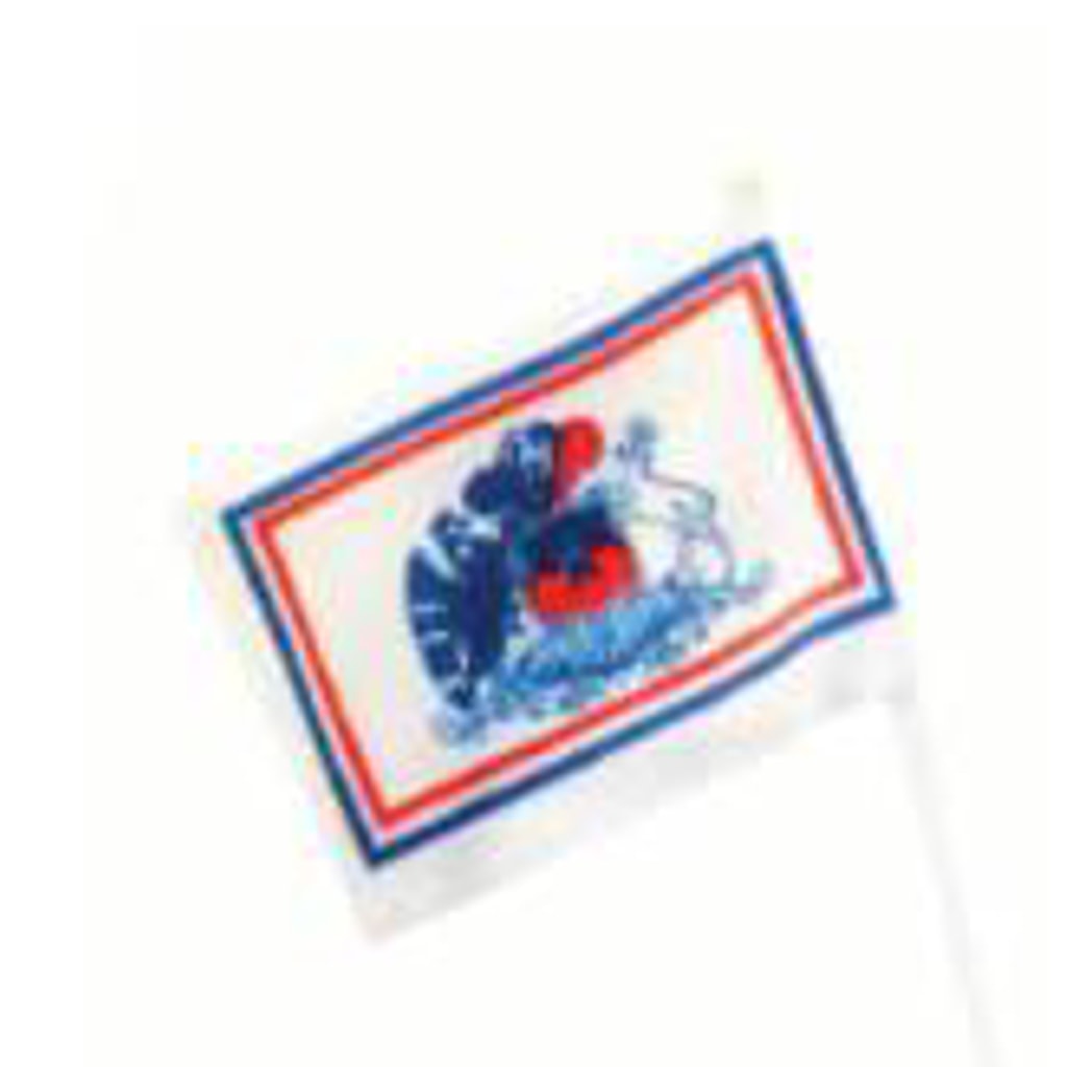 Chupete Bandera Chile/Escudo 6X9 X12Uni - Banderas
