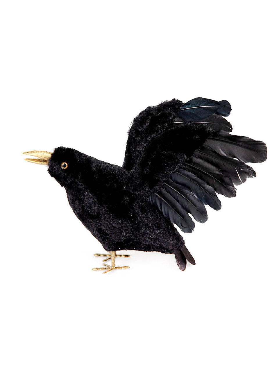 Cuervo Negro 25 cm