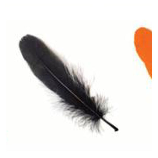 Pluma 17Cm Negro X12Uni