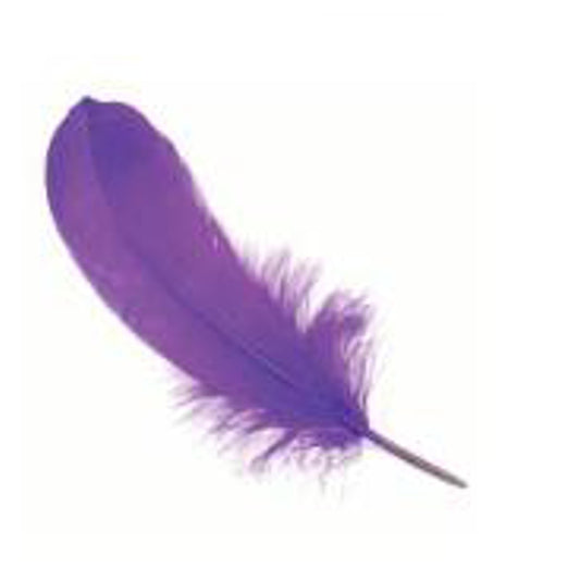 Pluma 17Cm Morado X12Uni
