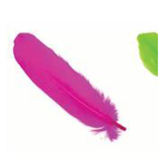 Pluma 17Cm Fucsia X12Uni