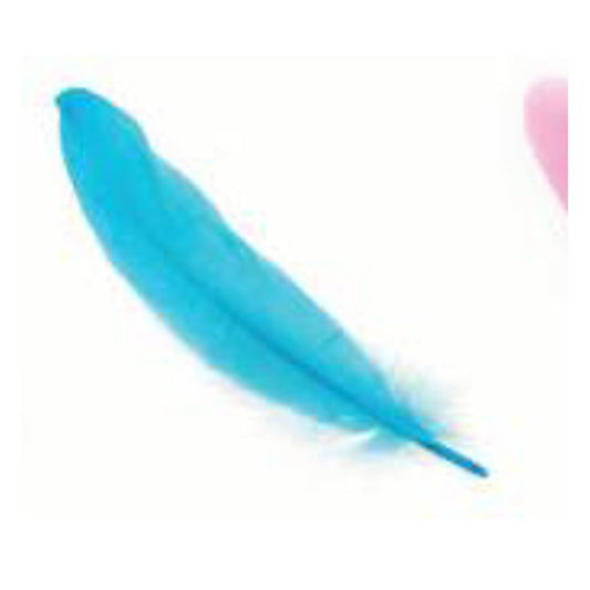 Pluma 17Cm Calipso X12Uni