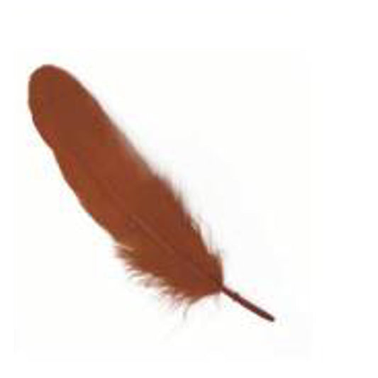 Pluma 17Cm Cafe X12Uni