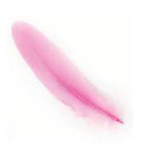 Pluma 17Cm Rosado X12Uni