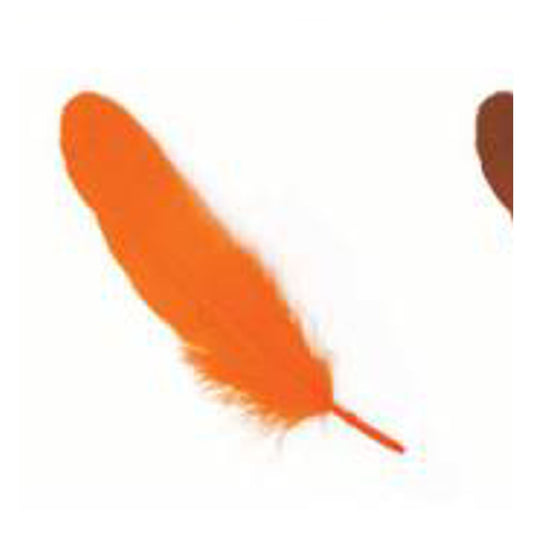 Pluma 17Cm Naranjo X12Uni