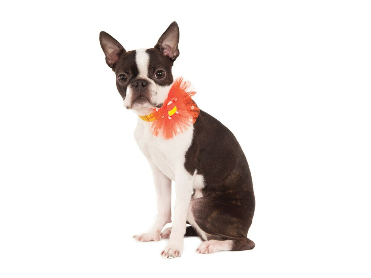 COLLAR LENTEJUELA MASCOTA S-M