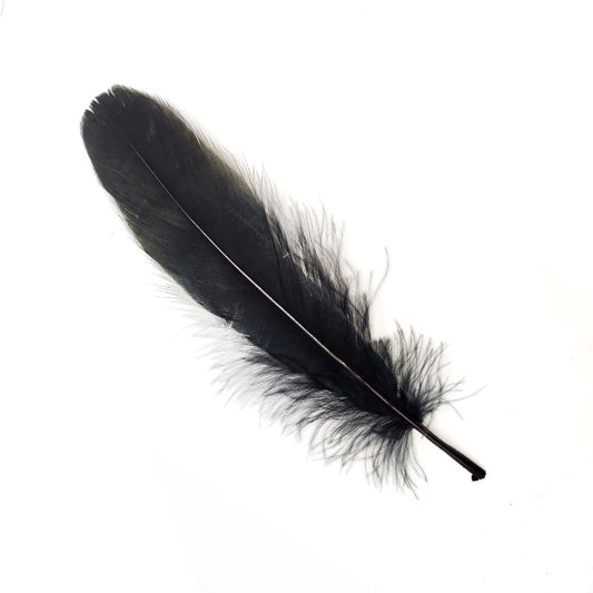 Pluma 17 cm negra, paquete de 12 unidades