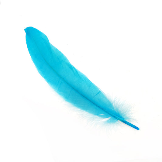 Pluma 17 cm calipso, paquete de 12 unidades