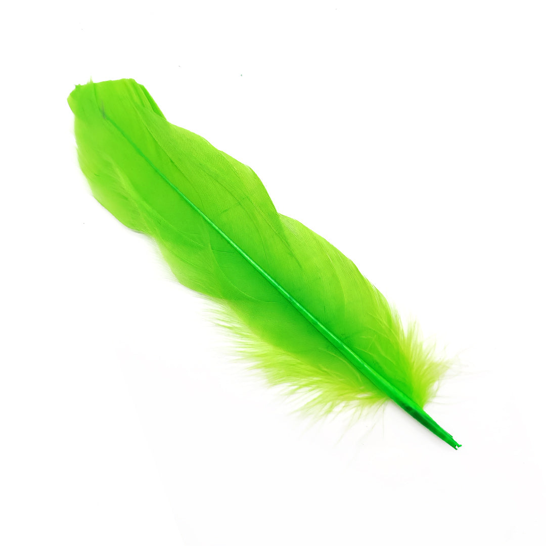 Pluma 17 cm verde, paquete de 12 unidades