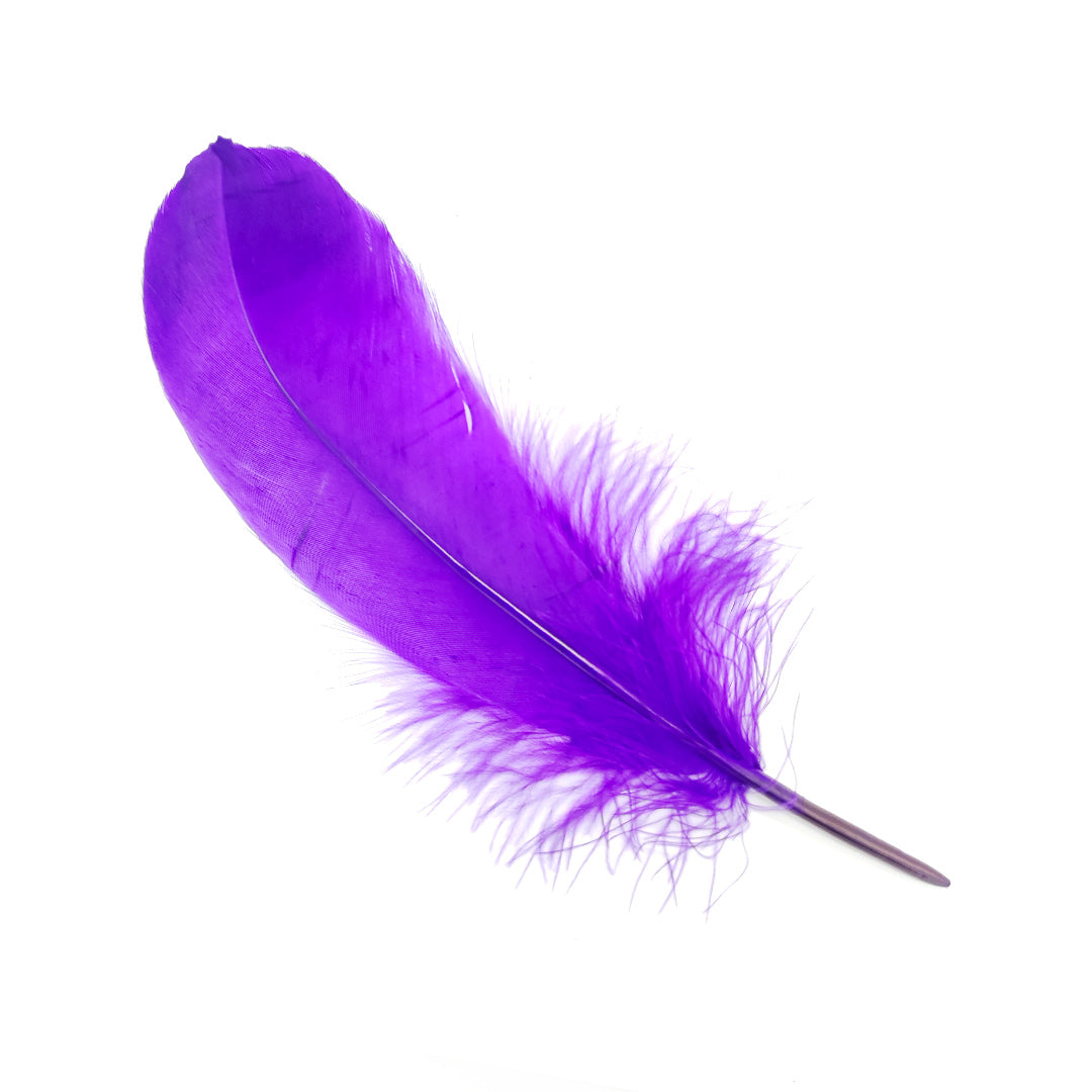 Pluma 17 cm morada, paquete de 12 unidades
