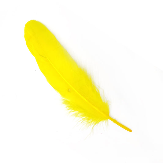 Pluma 17 cm amarilla, paquete de 12 unidades