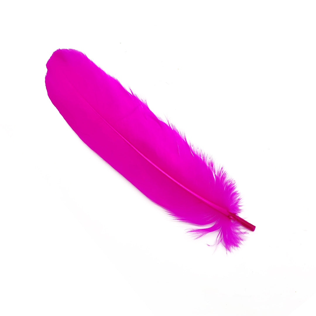 Pluma 17 cm fucsia, paquete de 12 unidades