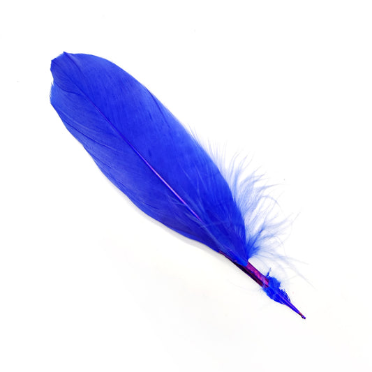 Pluma 17 cm azul, paquete de 12 unidades