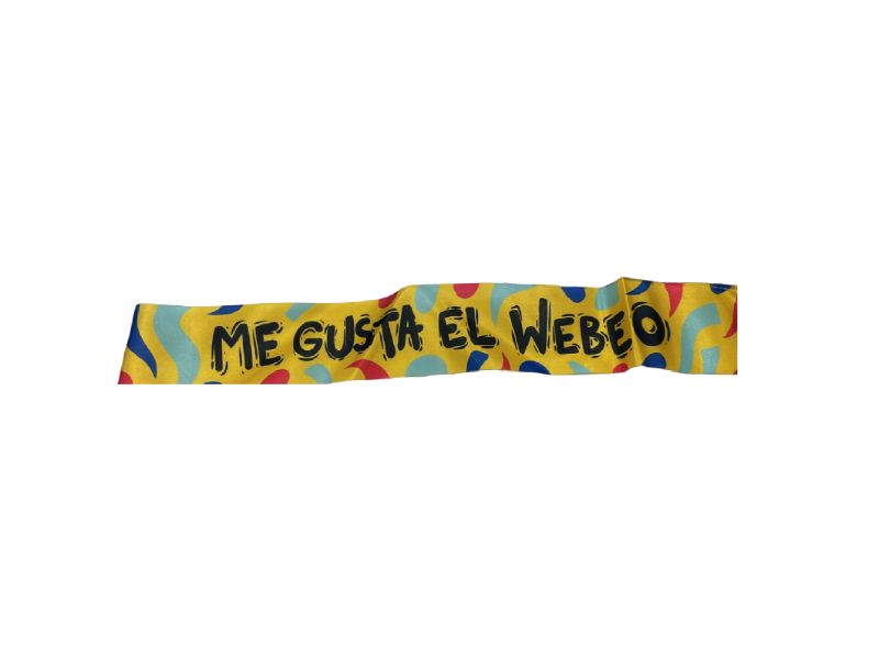 Banda Carnaval Me Gusta El Webeo