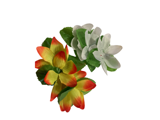 Flor Pelo Diseños