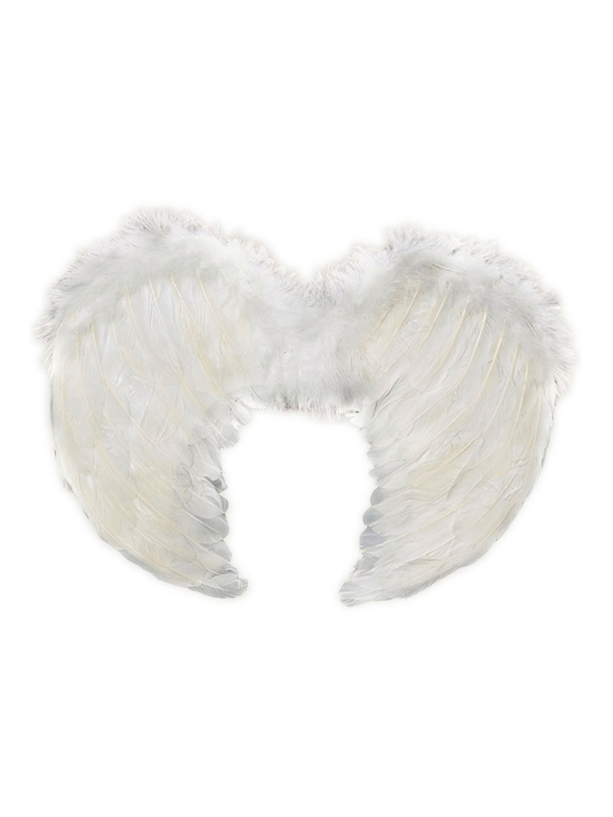 Alas de Ángel Pluma Blanco 80x60 cm